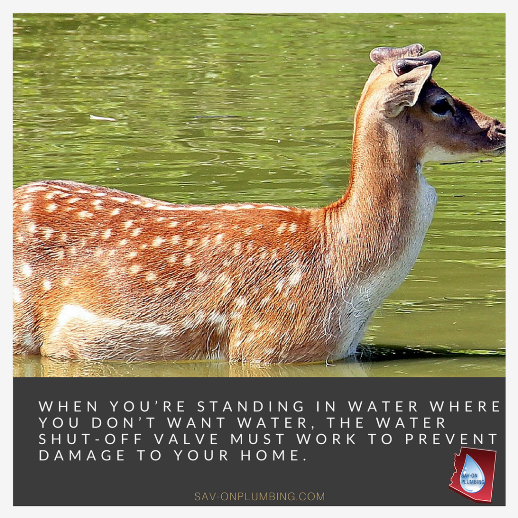 When you’re standing in water where you don’t want water, the water shut-off valve must work to prevent damage to your home. http://sav-onplumbing.com